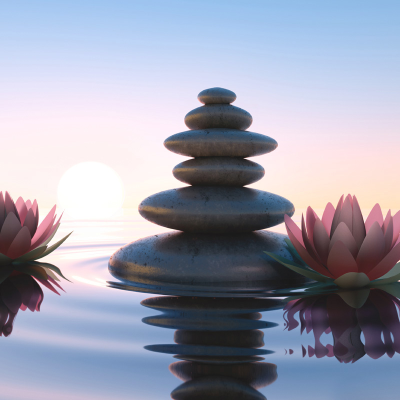 claire-harrison-self-healing therapies homepage calming photo